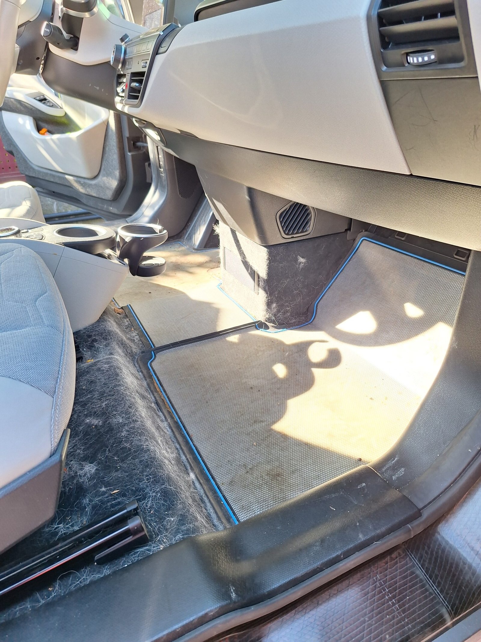 pet-hair-removal-cleaning-detailing-vienna