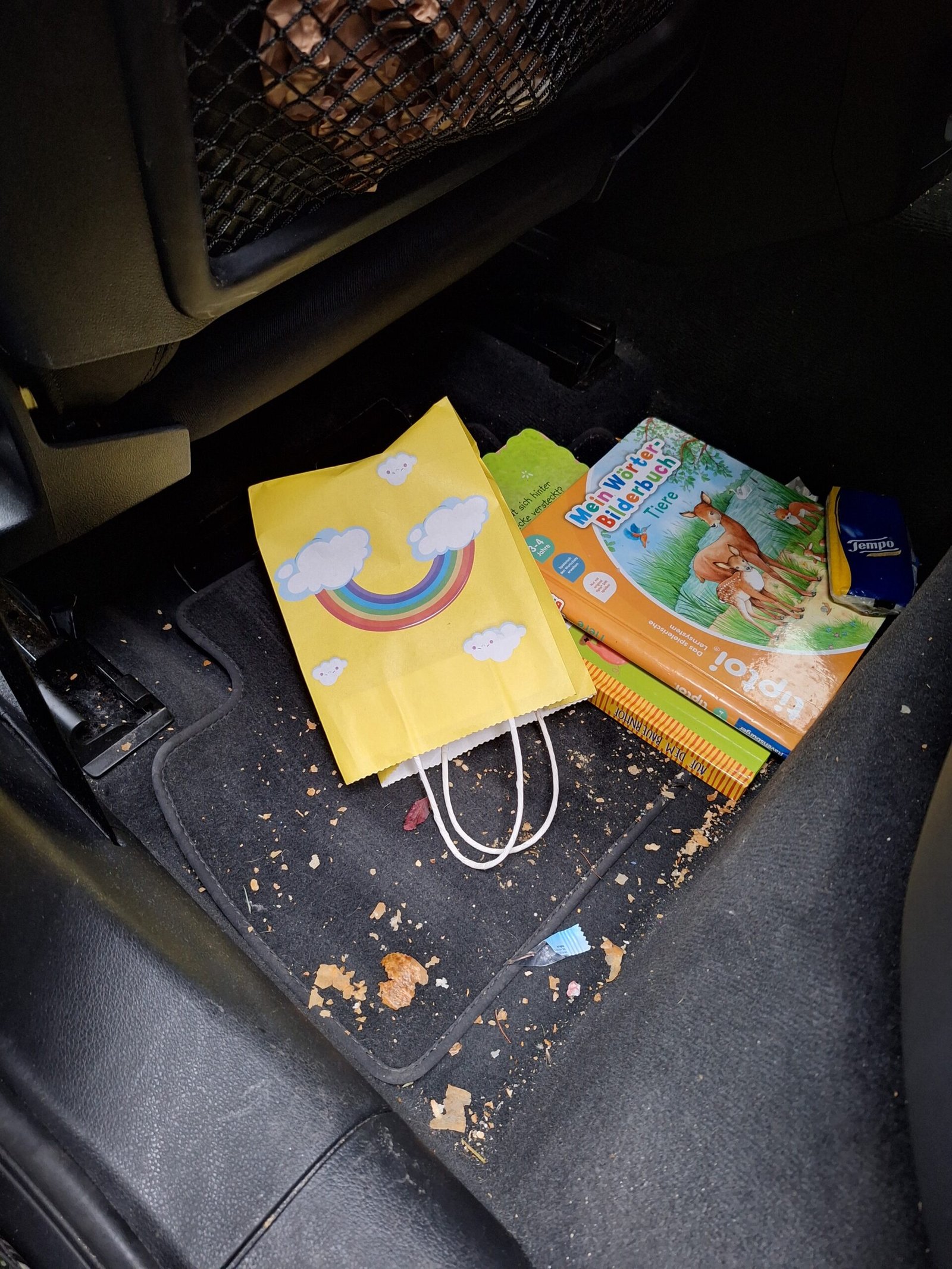 interior-cleaning-detailing-dirty-vienna