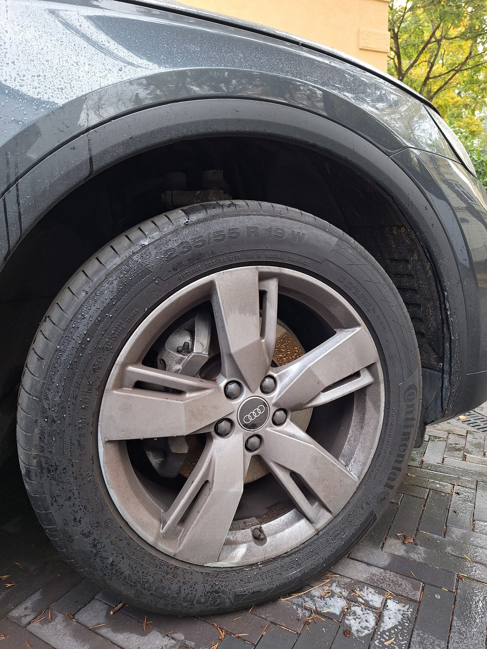 wheel-rim-cleaning-detailing-dirty-vienna